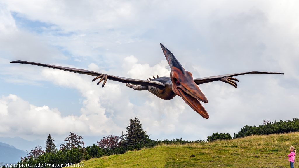 Der Angriff durch einen "Kurschwanzflugsaurier Pteranodon"